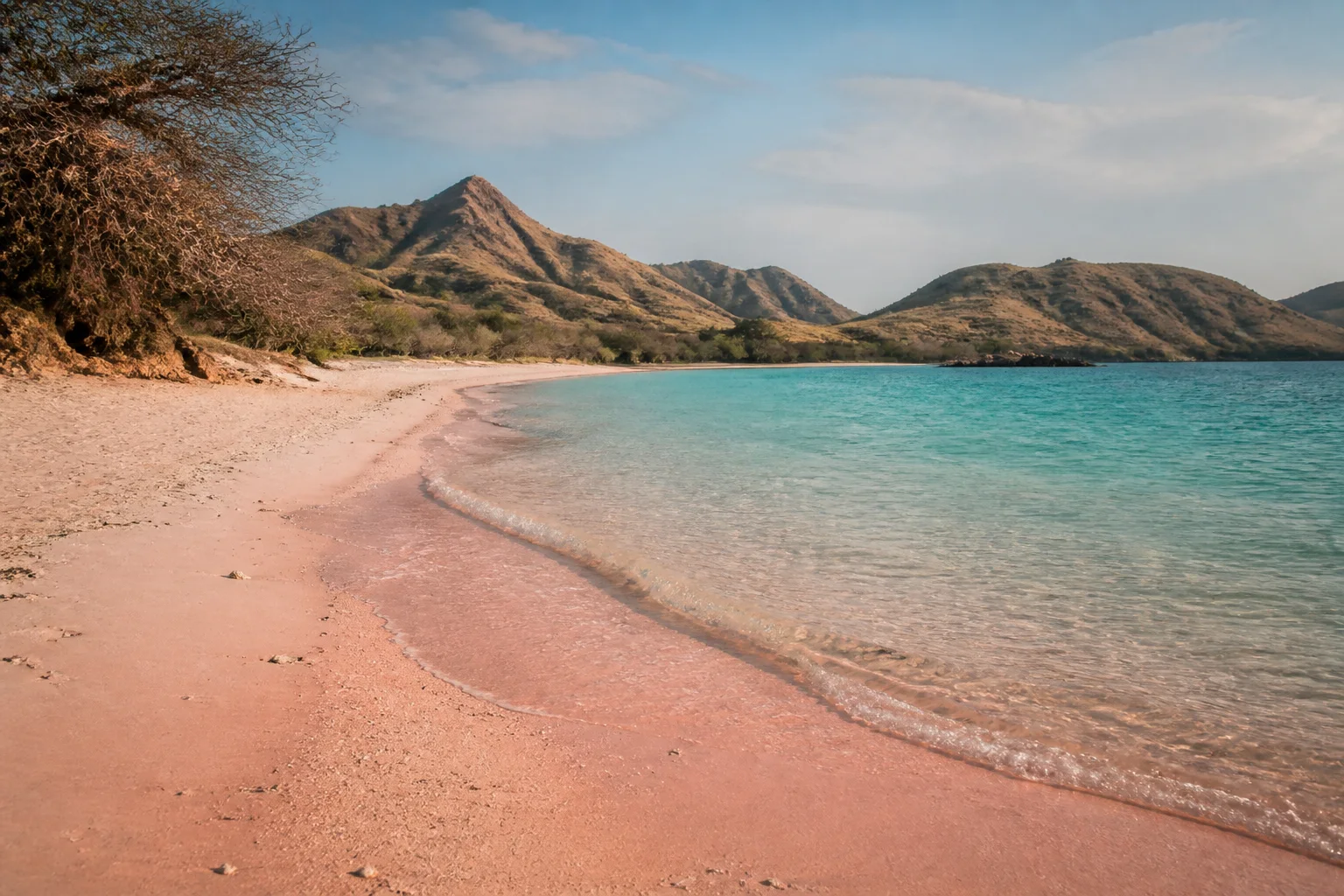 Visual editorial Pantai Pink