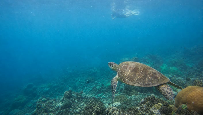 Perairan dan terumbu di sekitar Pulau Kanawa